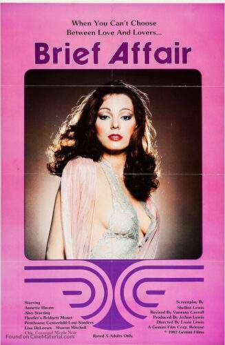 Brief Affair (1982)