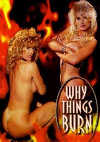 Why Things Burn (1995)