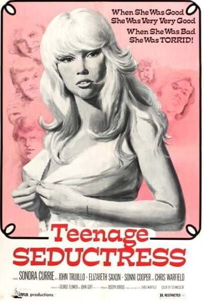 Teenage Seductress (1975) | USA | Brrip