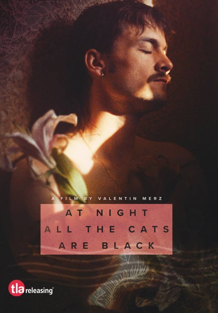 At Night All the Cats Are Black (2023) Mara Thurnheer, Francette Legros, Yanna Rüger Nude Scenes