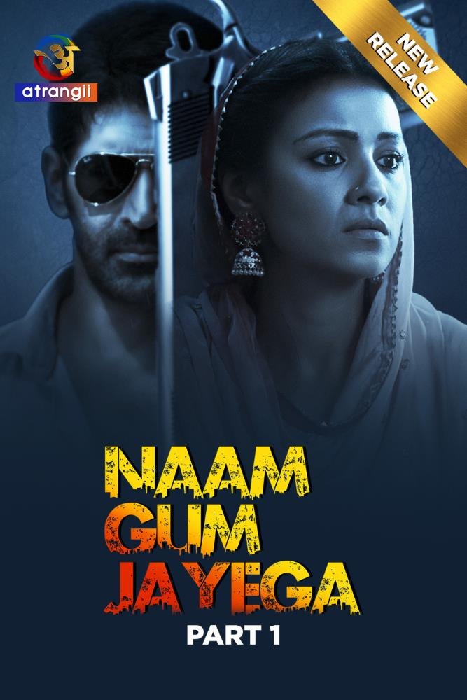 Naam Gum Jayega (2024) S01 [Part 1] Hindi Web Series