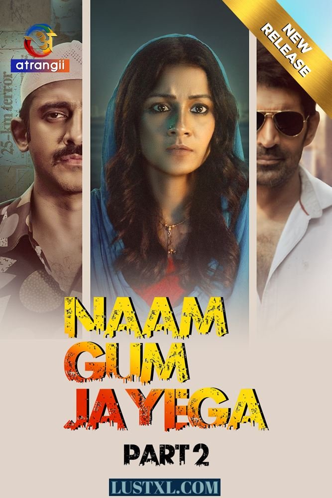 Naam Gum Jayega (2024) S01 [Part 2] Hindi Web Series